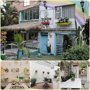  Hostal Florentina Symbiosis